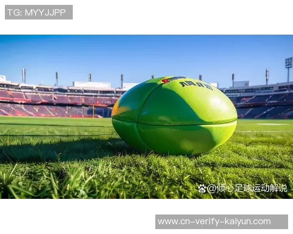 深入了解足球术语的魅力与技巧解析让你成为足球专家